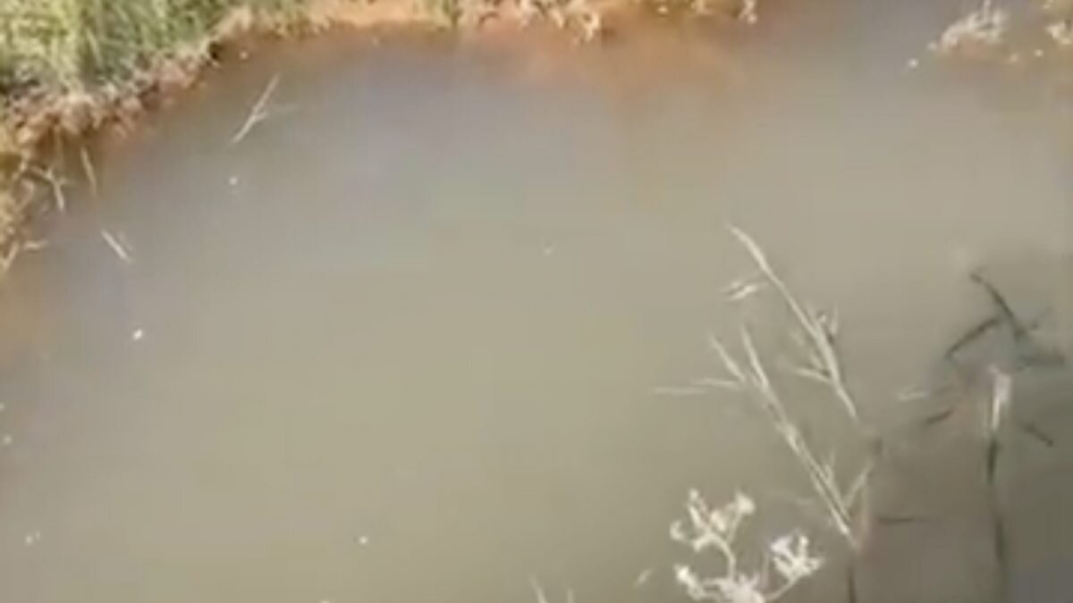    Фото: кадр из видео Рашид Ахмежанов