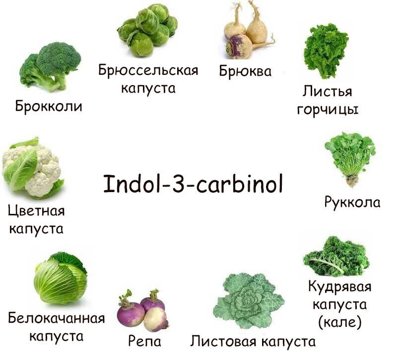 Крестоцветные овощи список и фото Гормональные причины лишнего веса и проблем с похудением Стройность и Здоровье с