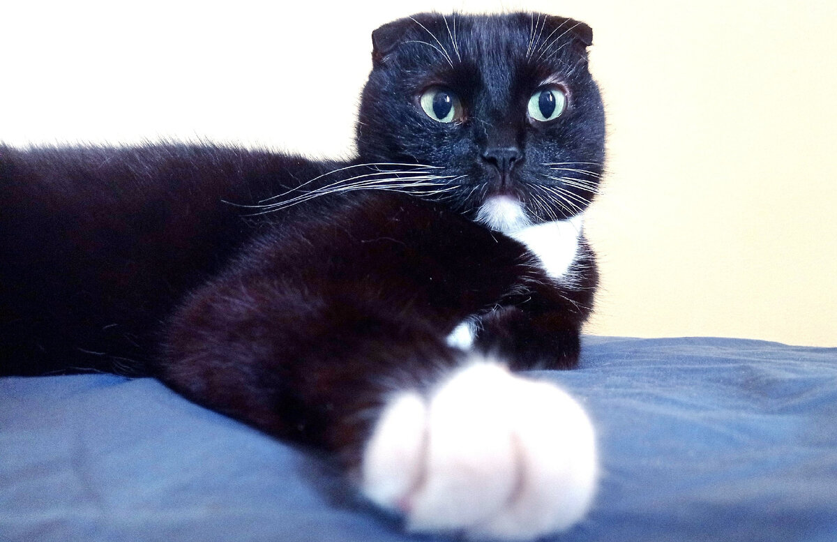 Сурен - настоящий порядочный мужчина