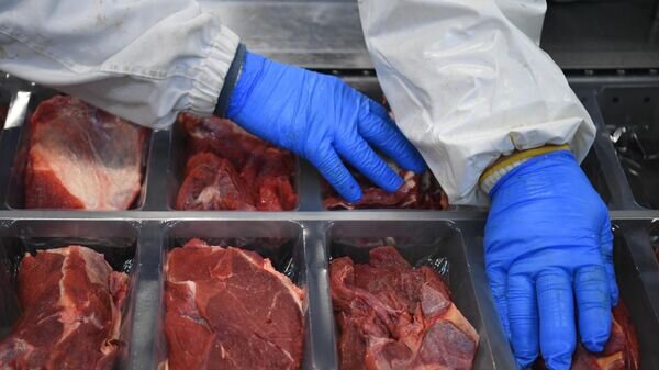    © Sputnik / Александр Кряжев