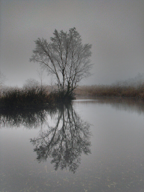 Если человек посмотрит поздним вечером, как отражаются в воде светильники или как отражается берег, спускающийся к воде, то отражение покажется ему укороченным и совсем “исчезнет”, если наблюдатель находится высоко над поверхностью воды. Также никогда нельзя увидеть отражение верхушки камня, часть которого погружена в воду.