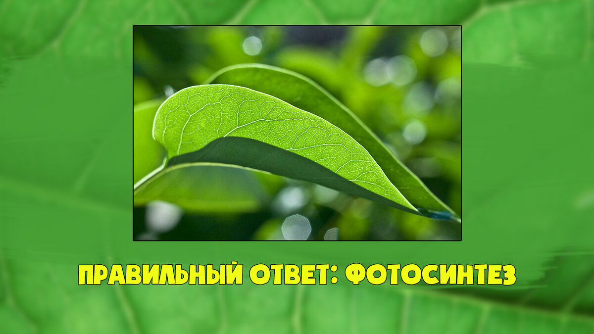 Правильный ответ