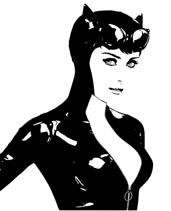 Pixabay License. https://pixabay.com/ru/illustrations/%D0%BA%D0%BE%D1%88%D0%BA%D0%B0-%D0%B6%D0%B5%D0%BD%D1%89%D0%B8%D0%BD%D0%B0-%D0%BA%D0%BE%D1%88%D0%BA%D0%B0-%D1%81%D1%83%D0%BF%D0%B5%D1%80%D0%B3%D0%B5%D1%80%D0%BE%D0%B9-3189845/