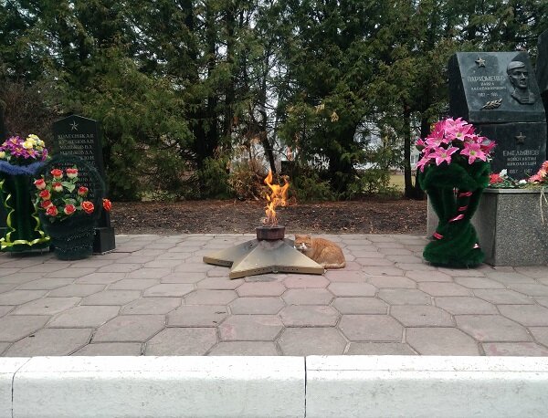 Кокинская аллея Славы находится в парке рядом с БГАУ – Брянским аграрным университетом, бывшей «сельхозакадемией». В 1994 году здесь установили памятник студентам, погибшим в Афганистане: Павлу Пархоменко, Константину Емельянову и Александру Ковалёву. Спустя несколько лет рядом появился еще один скромный монумент – в честь Героя России Вадима Ермакова, участника чеченской войны.