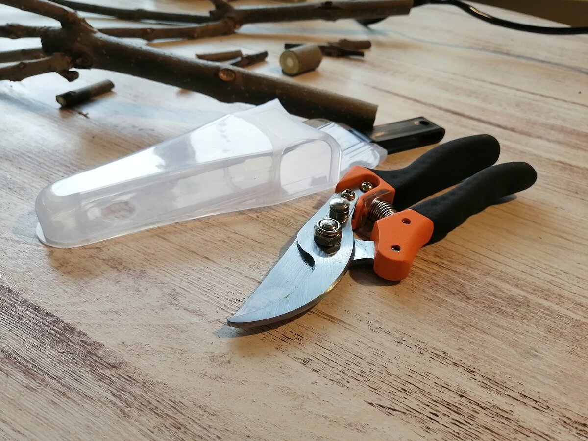 Фото автора, 19-11-2019