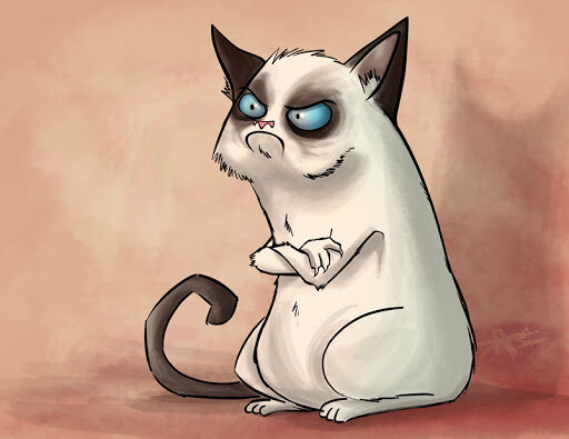 Grumpy cat art.