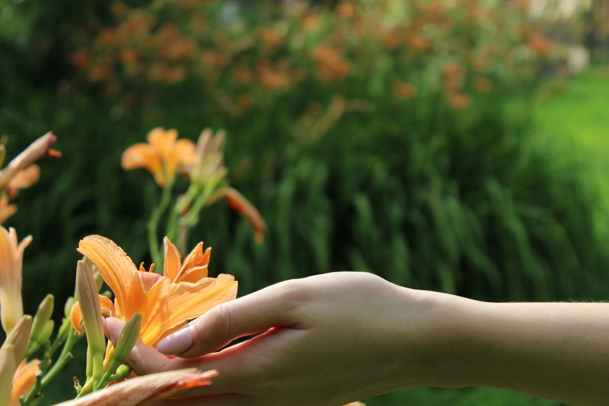 Мария Лысова