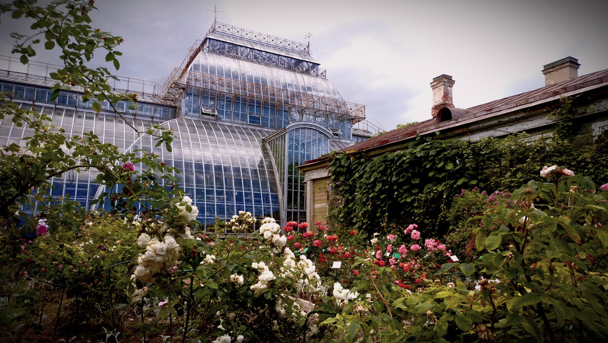 Вид на одну из оранжерей со стороны розария