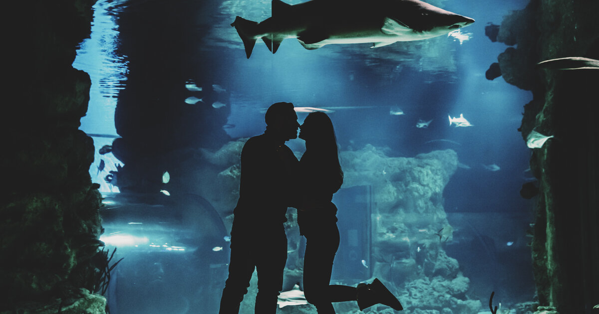 Фото: https://www.pinterest.ru/