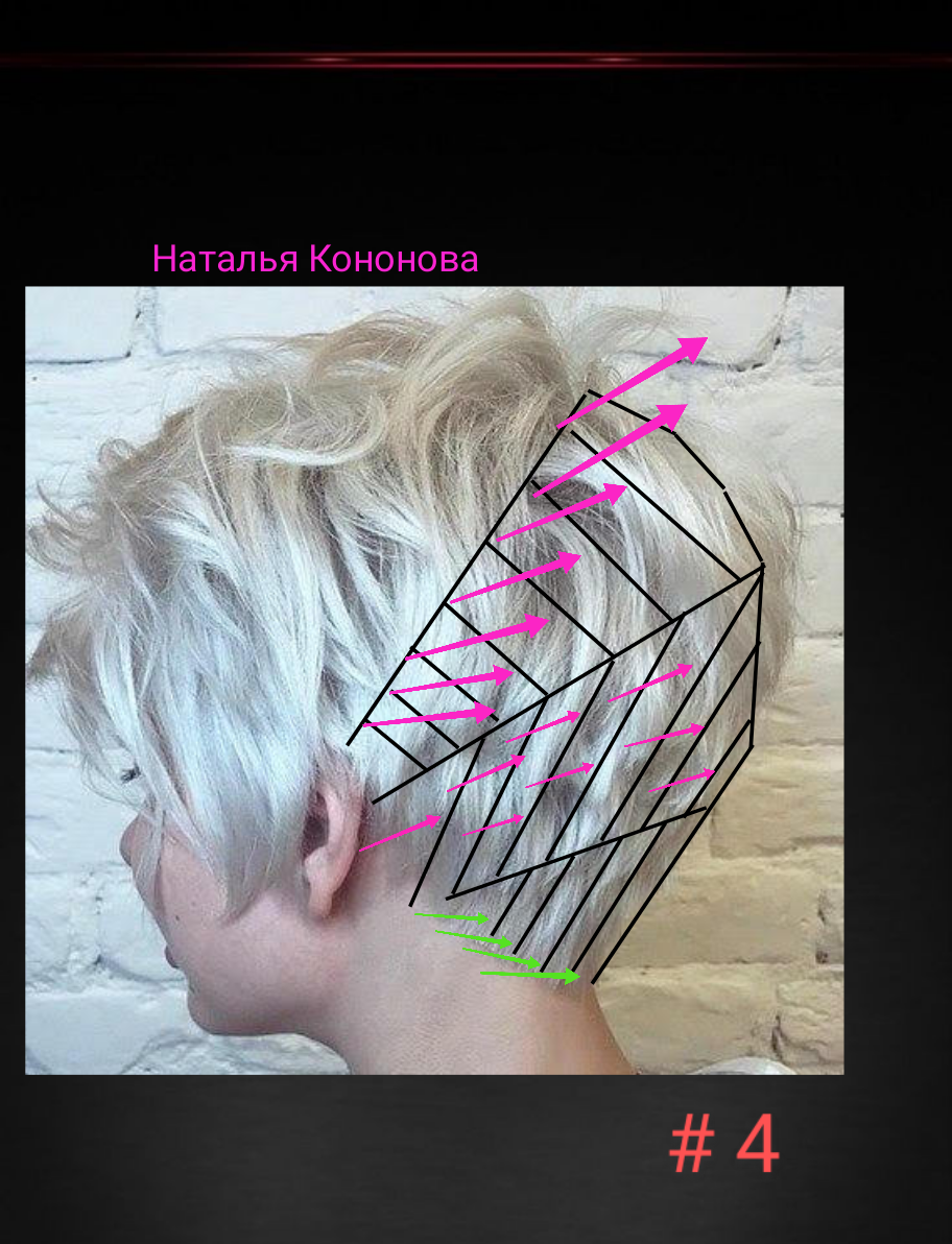 Все о волосах Наталья Кононова