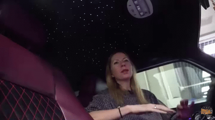 Лиса Рулит. Звездное небо в Ниве