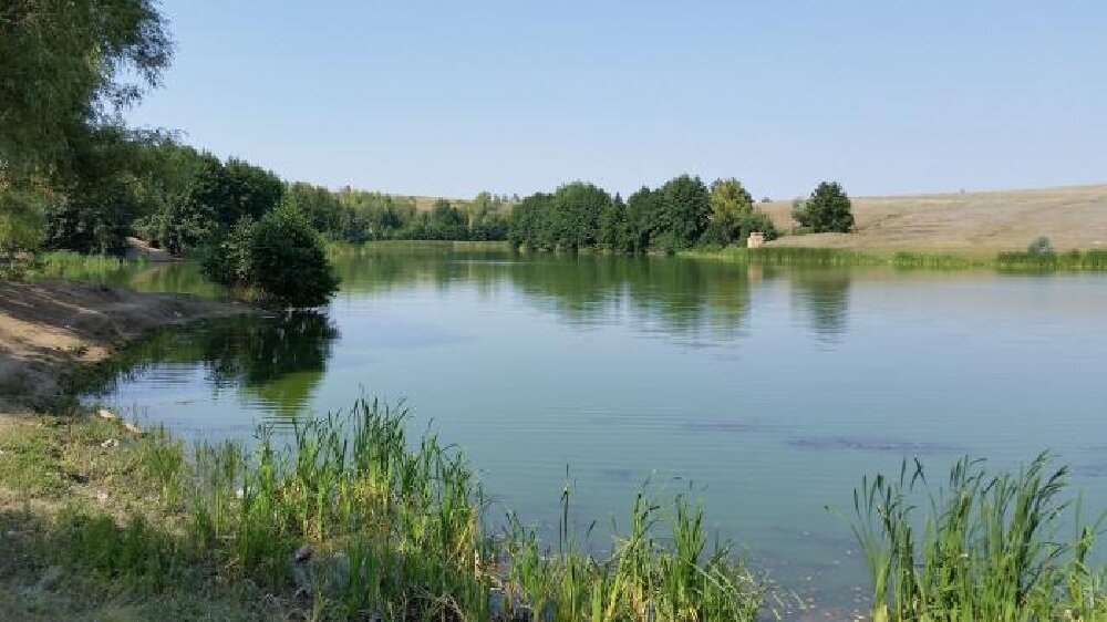 Елшанка Саратов водоём