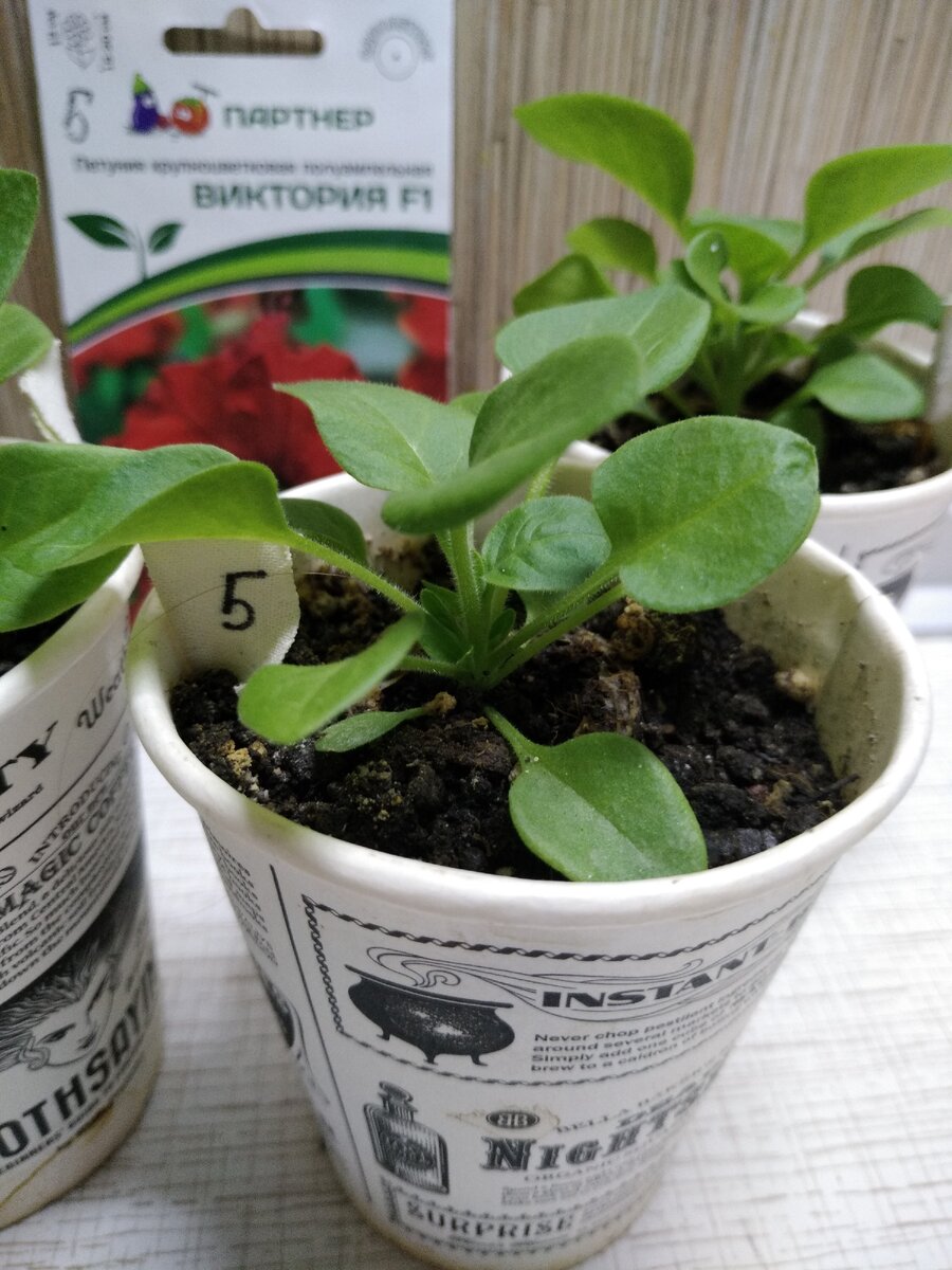 Листаем галерею ;)