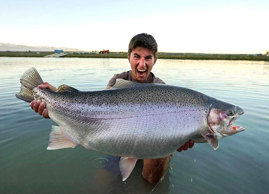 Если вы ловите рыбу в мутной воде, на глубине, на рассвете или в сумерках, то добавление подсветки к вашей приманке может значительно повысить шансы на поимку желанного трофея.