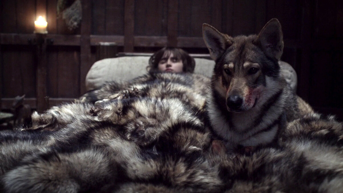Бран и Лето. Источник gameofthrones.fandom.com