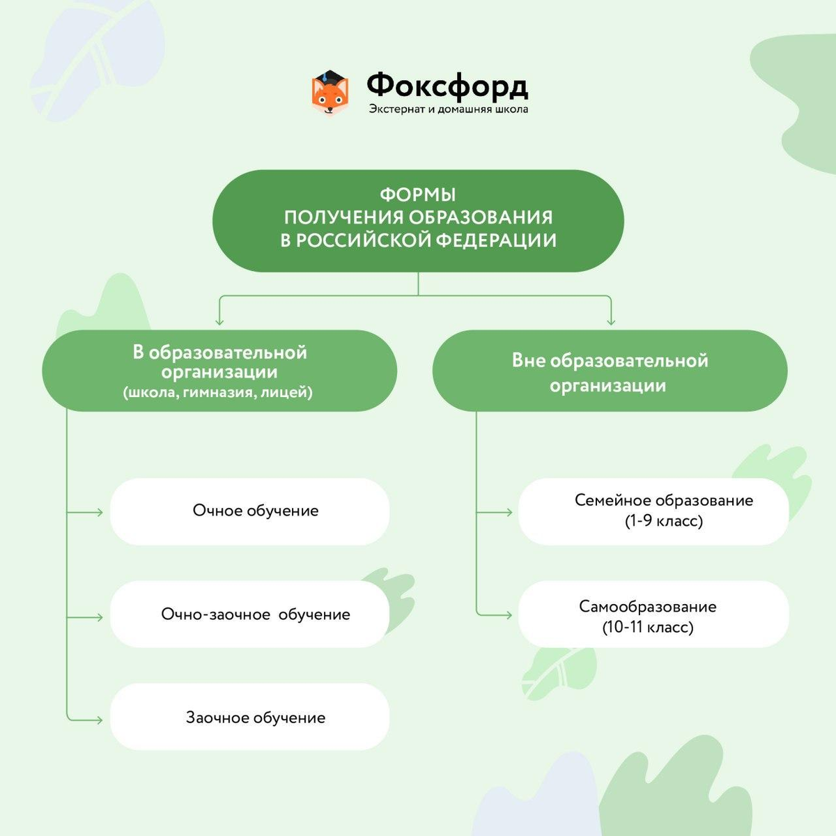 Всё о формах обучения в России в одной удобной схеме | Фоксфорд | Дзен