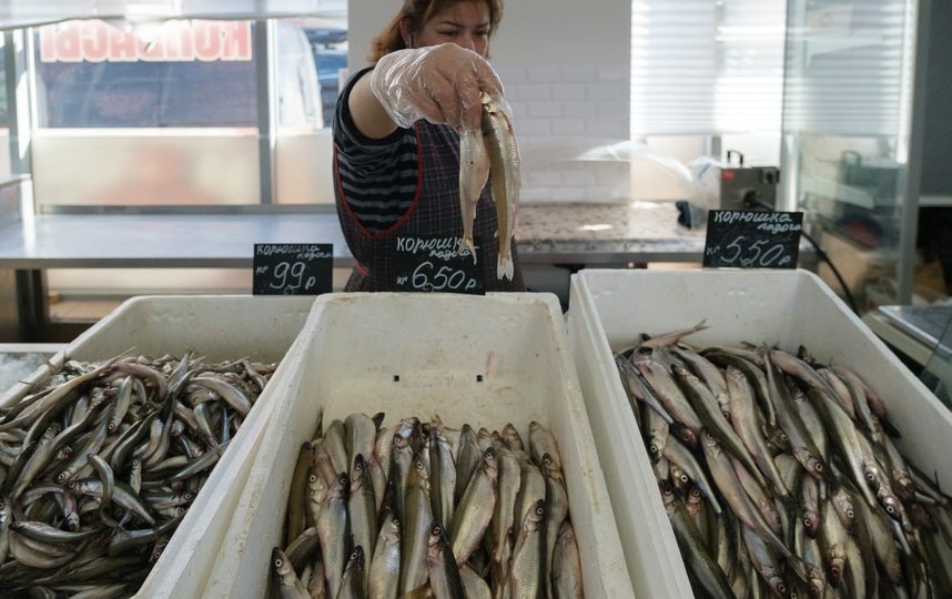 Весной ларьки с корюшкой можно найти повсюду