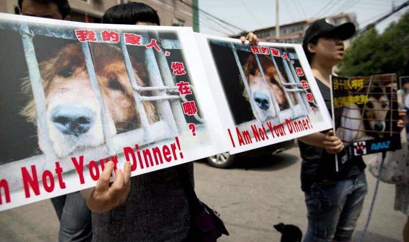 "Я не твой обед!"