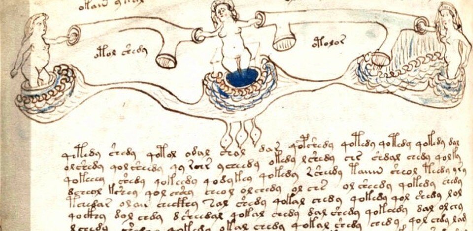 иллюстрация из рукописи Войнича