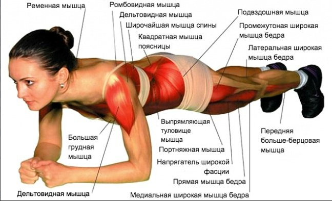 Спустя 2-3 недели вы однозначно заметите значительный результат.