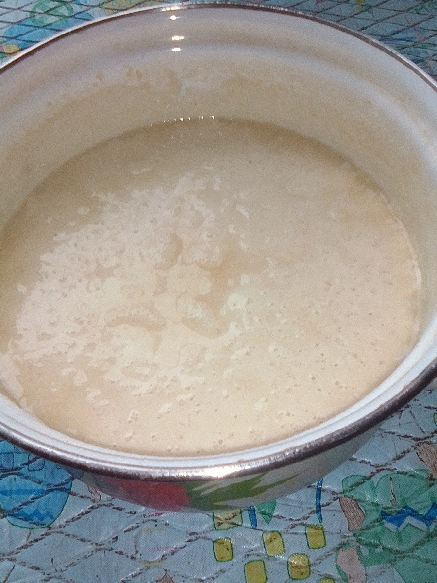 Наличие пузырьков говорит, что опара работает ( бродит)