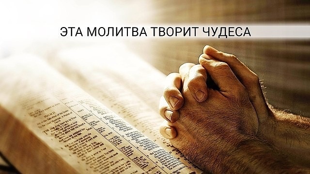 фото из Яндекс картинки 