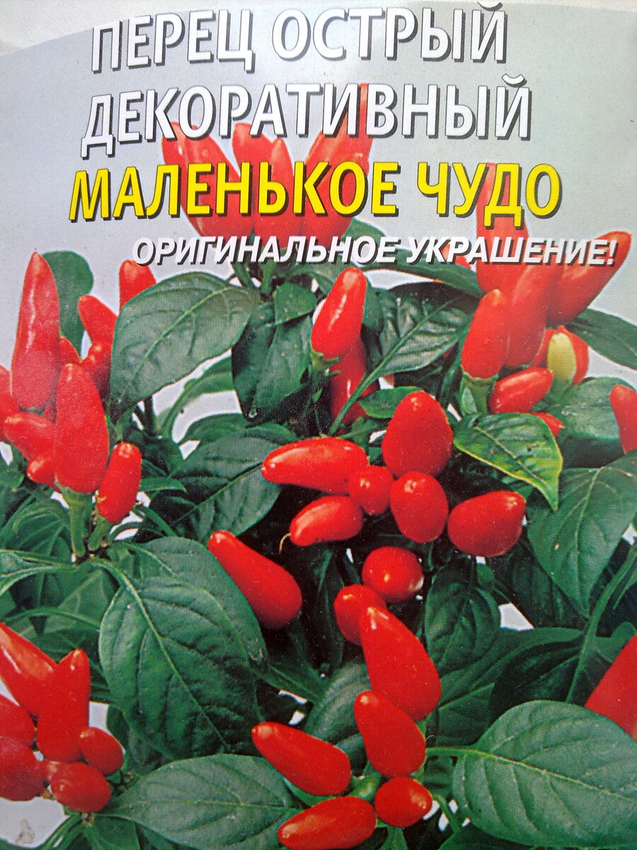 Маленькое декоративно-оригинальное чудо