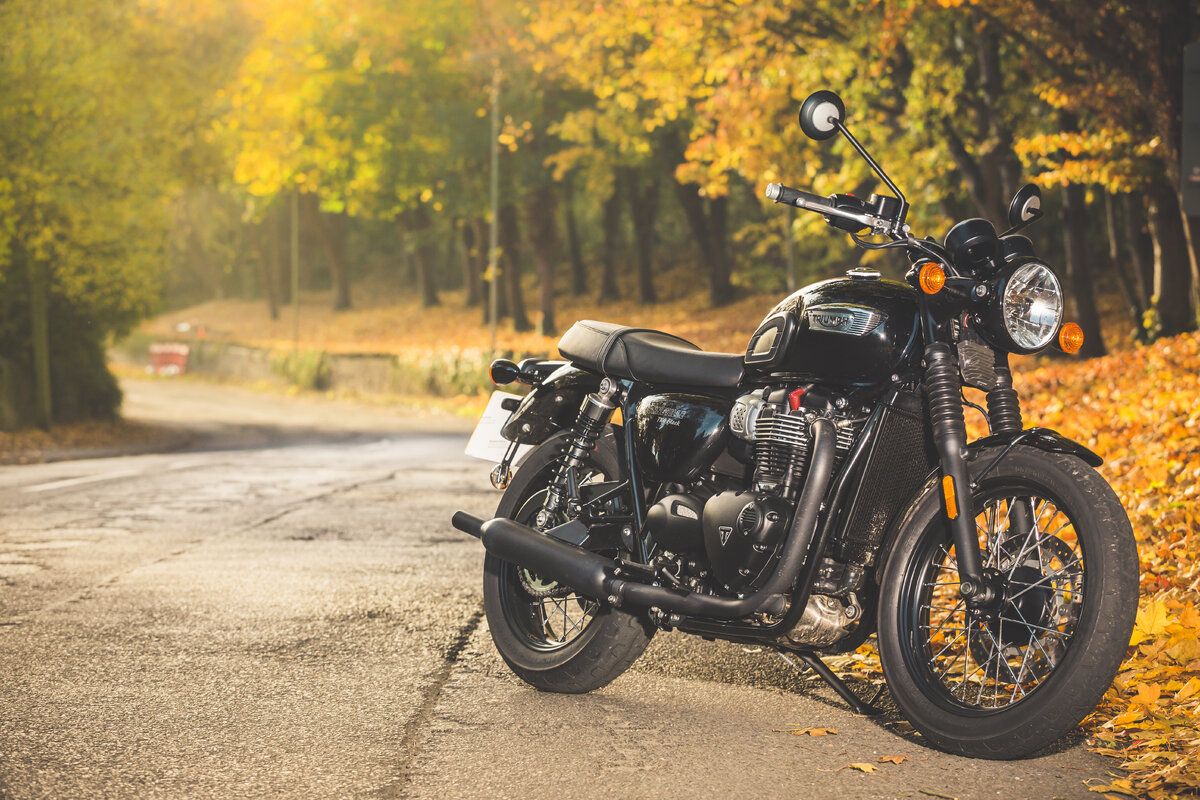 Triumph Bonneville t100 Wallpaper