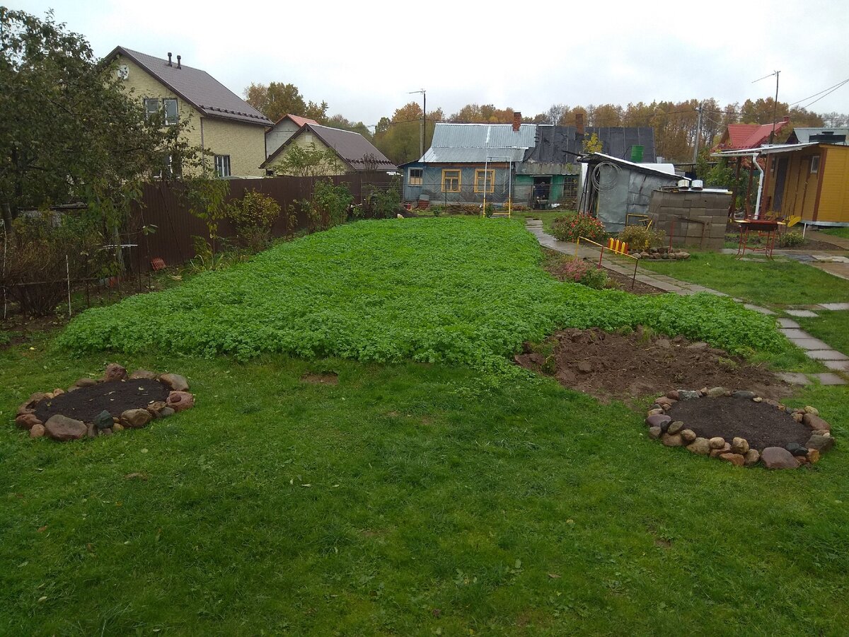 Фотография из личного архива 2017 год, октябрь