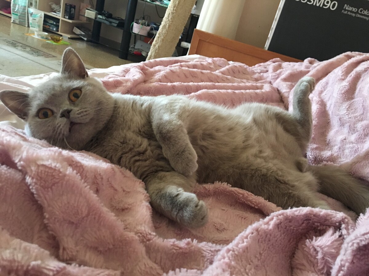 Фото из личного архива