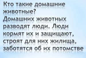 
Домашними называются животные, которых приручил человек, ухаживая за ними и предоставляя им пропитание. Все одомашненные виды и выведенные на их основе искусственно породы использовались с целью получения материальной выгоды или удовольствия. Они становились хорошими компаньонами для человека, скрашивая его жизнь. Процесс размножения животных легко проходит даже вне природных условий. Контролируя его, люди создают породы с нужными свойствами.
