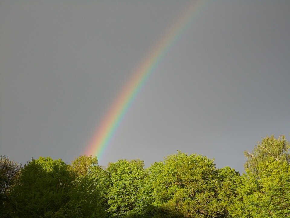 Фото: pixabay.com