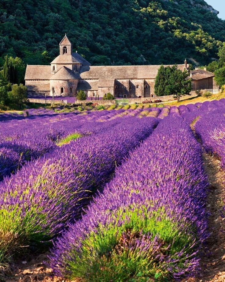 Провинция прованс