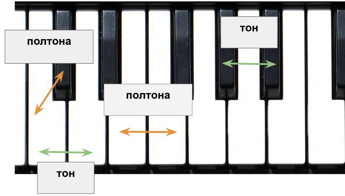 Что такое тон. Тон полутон 2 тона полутон. Тона и полутона на клавиатуре фортепиано. Клавиатура фортепиано для сольфеджио тон полутон. Сольфеджио 2 класс тон тон полутон.