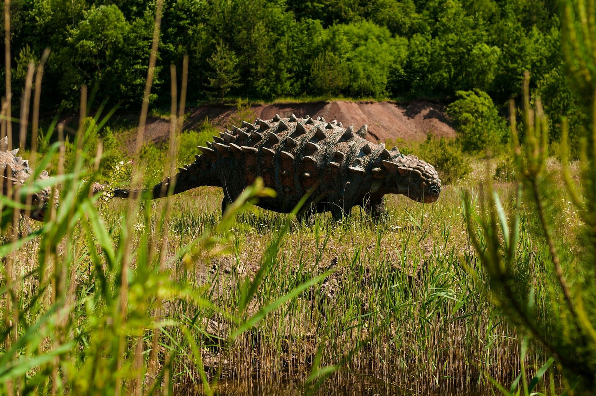 Диназ фото. Анкилозавр. Панцирный Анкилозавр. Анкилозавр [Ankylosaurus]. Анкилозавры (панцирные динозавры).