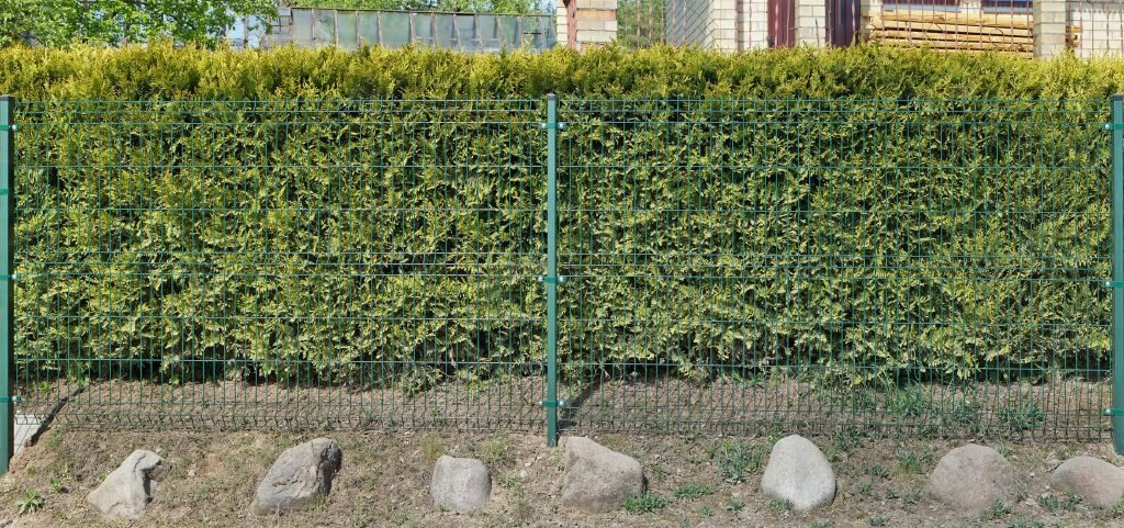 Главное чувствовать себя уютно