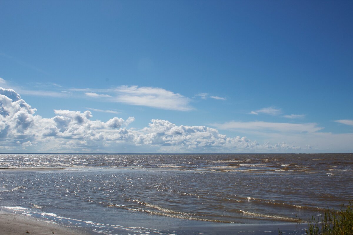 Побережье Пярнаусского залива. Фото мое