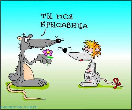 Крысы бегут из города. Туда на гастроли едет театр кошек Юрия Куклачёва.