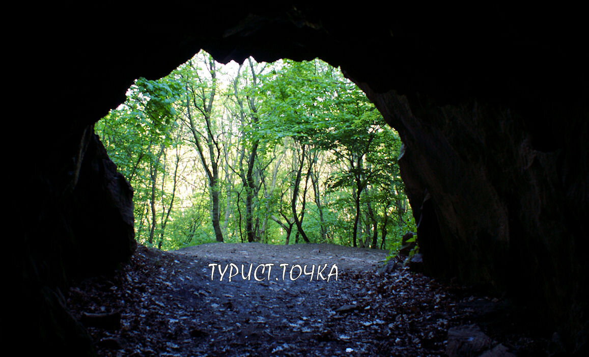 Вид из пещеры на лес