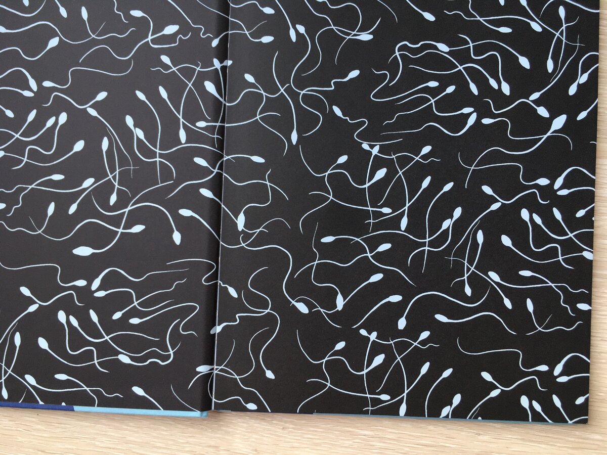 Форзац и нахзац