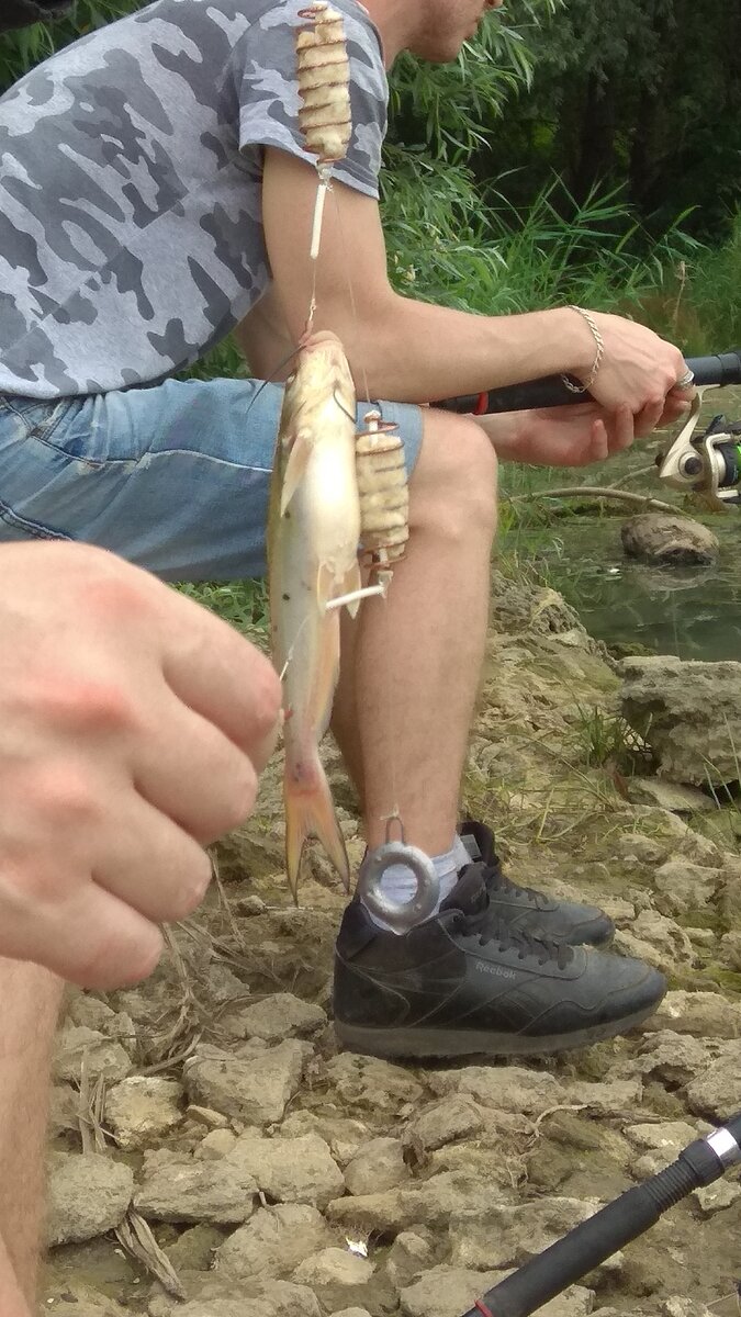 Брюшная часть