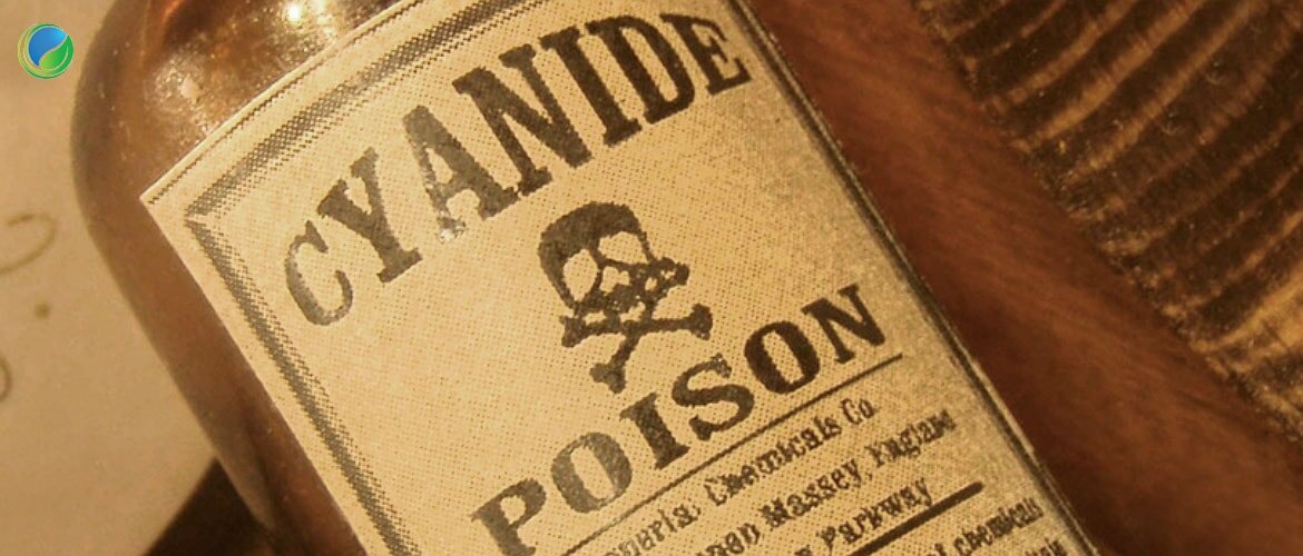 Агата Кристи в своих романах использовала цианид, мышьяк, стрихнин и даже тяжелый металл - талий! (фото www.shock.ee).