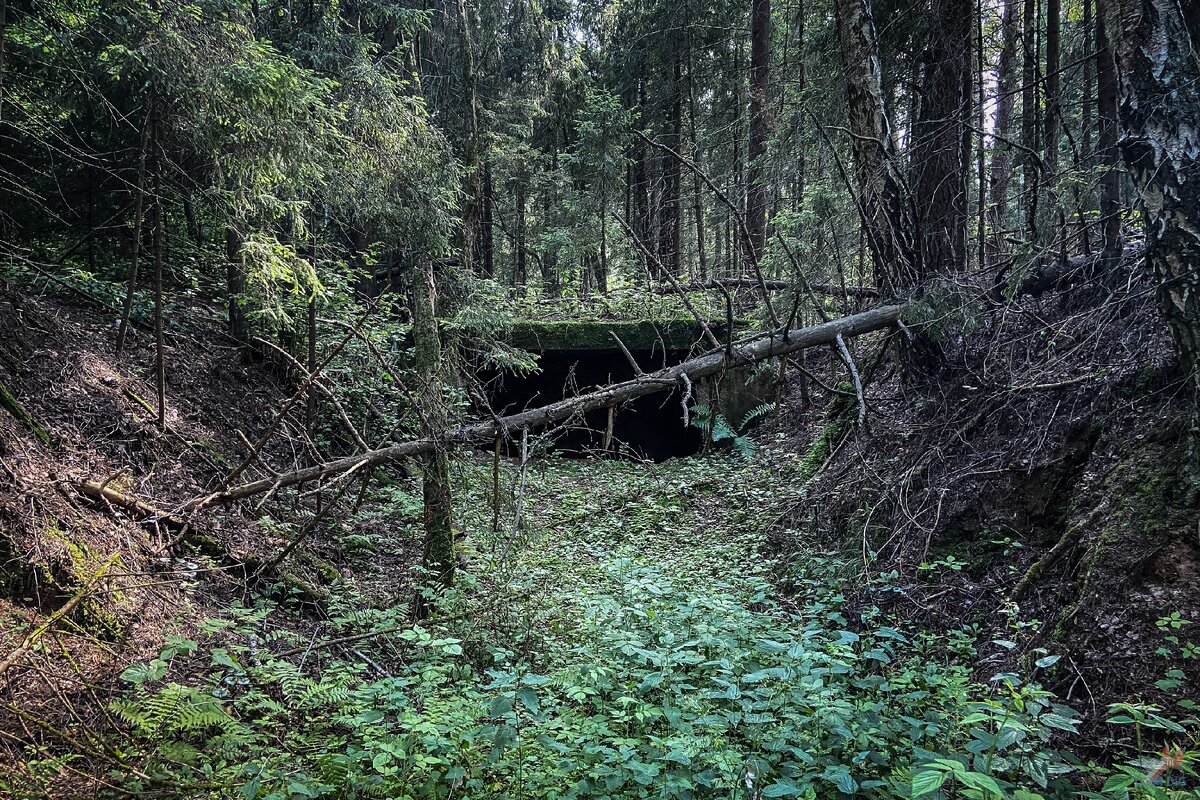 Странная бетонная конструкция. 