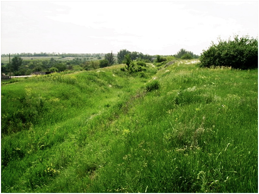 Противотанковый ров под Рыбинском в наши дни - фото автора