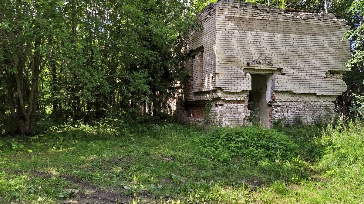 Оредежские (Борщёвские) пещеры: подземная готика Ленинградской области |  Другие места | Дзен