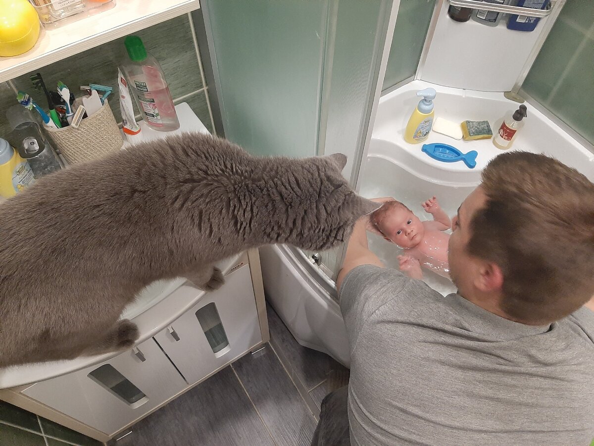 Привыкаем к новому быту