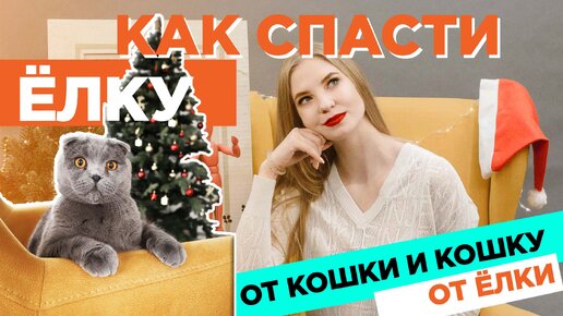 Как обезопасить ёлку от кошки?