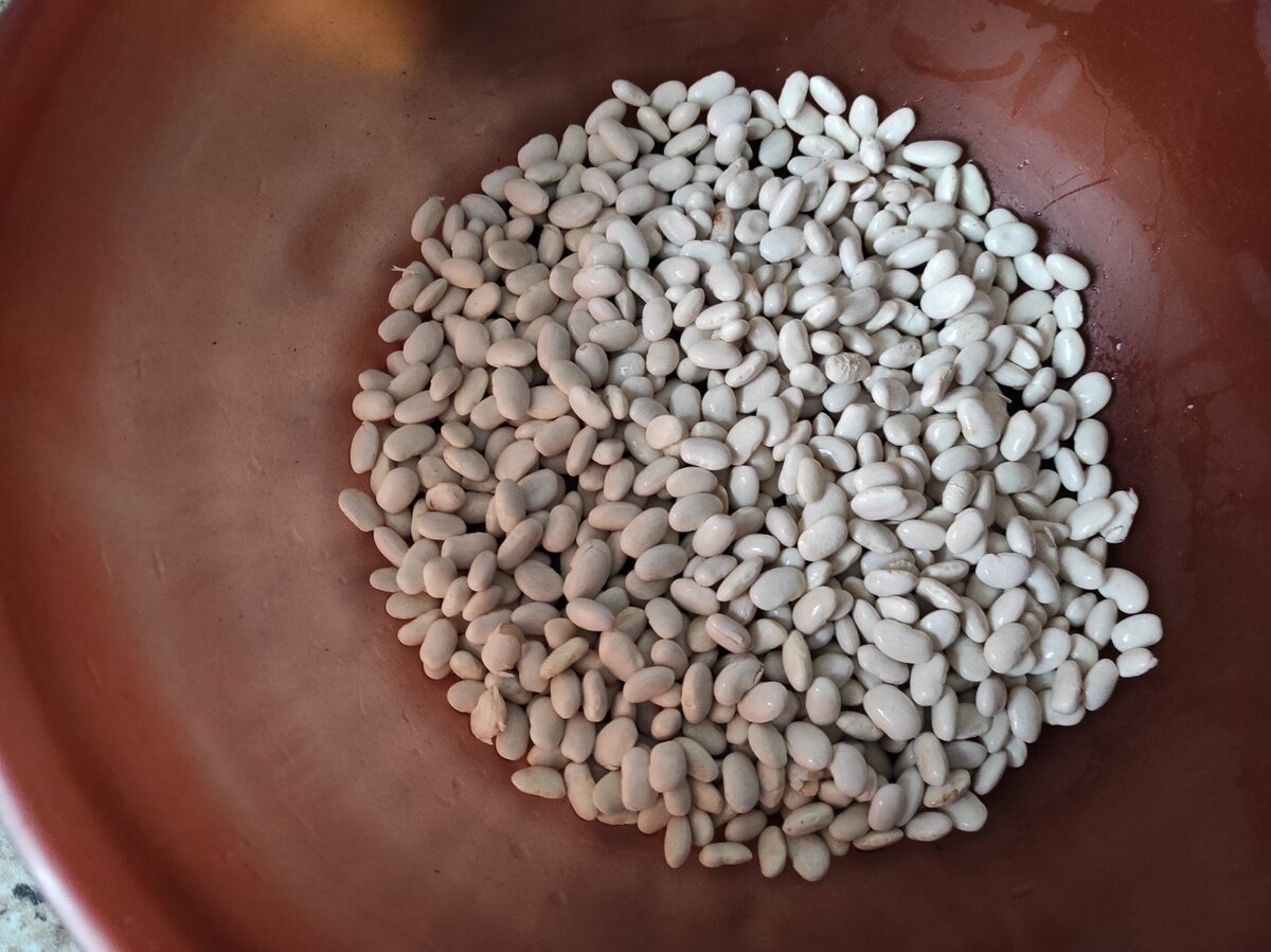 После этого высыпать её в отдельную кастрюлю, залить холодной водой так, чтобы вода покрывала фасоль не менее чем на 5 сантиметров и варить в течение 2 часов после закипания воды. За 10 минут до готовности поменять воду на холодную.