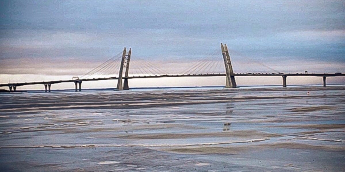 Вид с территории выставочного комплекса Ленекспо