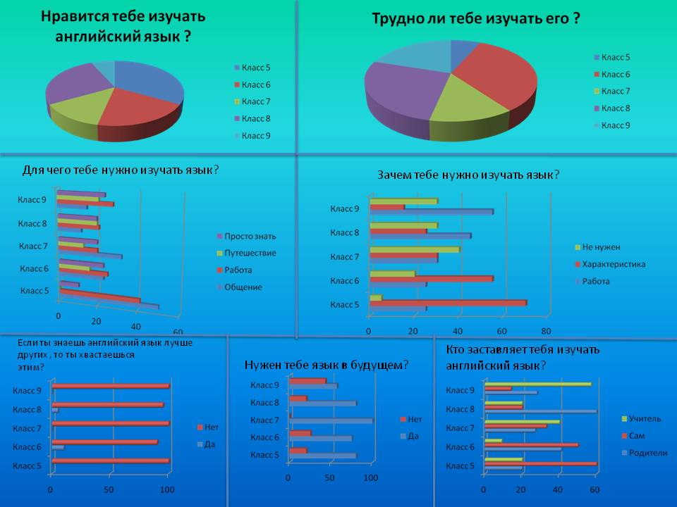 Диаграмма изучения английского языка. Опрос по иностранным языкам. Необходимость изучения английского языка. Причины изучения английского языка.